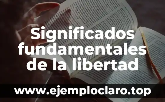 Significados fundamentales de la libertad