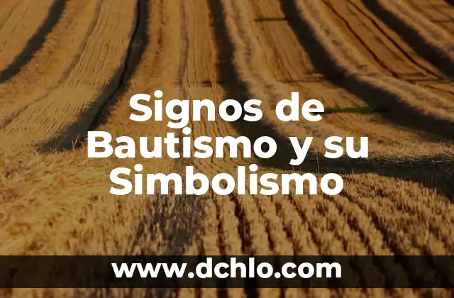 El Significado del Ícono de Apple: Historia y Simbolismo Detrás del Logo 4 Signos de Bautismo y su Simbolismo