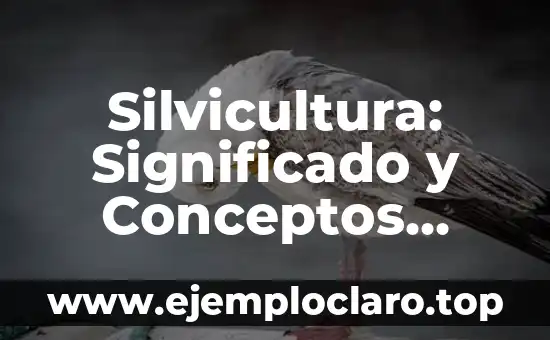 Asentamiento Humano: Definición y Conceptos Básicos 5 Silvicultura: Significado y Conceptos Básicos