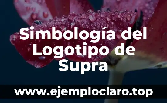 Simbología del Logotipo de Supra