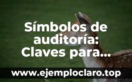 Símbolos de auditoría: Claves para entender su importancia