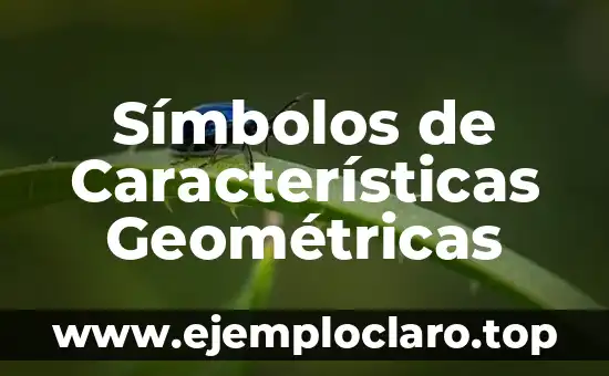 ¿Qué es la arista de un cubo? Definición y características 3 Símbolos de Características Geométricas