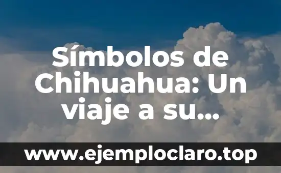 Nombre con Significado de Rojo: Un Análisis Profundo y Completo 7 Símbolos de Chihuahua: Un viaje a su significado más profundo