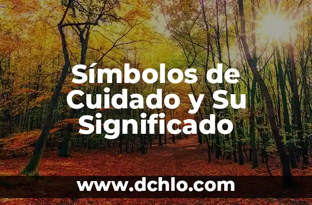 MySQL - Significado de sus iniciales 5 Símbolos de Cuidado y Su Significado