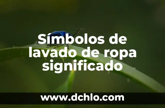 Significado del Escudo de Álava: Un Viaje Histórico por sus Símbolos 4 Símbolos de lavado de ropa significado