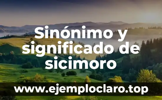 Significado de UMAM en Seguros 3 Sinónimo y significado de sicimoro