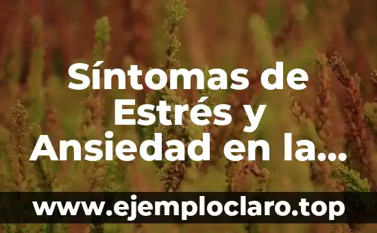 Síntomas de Estrés y Ansiedad en la Mujer: Cómo Identificar y Manejar