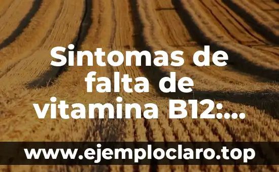 Sintomas de falta de vitamina B12: ¿Qué debes saber?