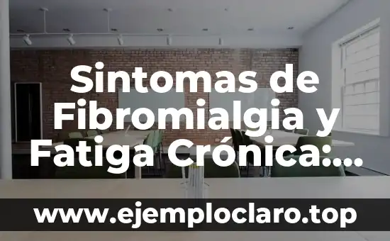 El significado de ser un bibliófilo: Todo lo que debes saber 8 Sintomas de Fibromialgia y Fatiga Crónica: ¿Qué Debes Saber?