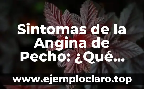 Sintomas de la Angina de Pecho: ¿Qué son y Cómo se Diagnostican?