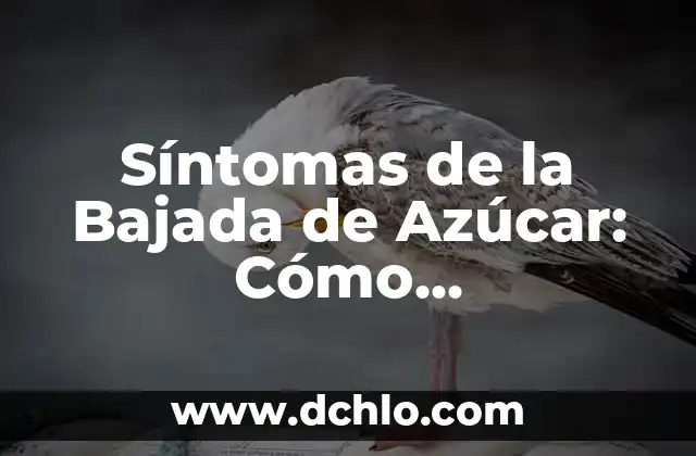Medir Glucosa en Sangre sin Pinchar: La Nueva Era de la Monitoreo de Azúcar en Sangre 6 Síntomas de la Bajada de Azúcar: Cómo Reconocerlos y Tratarlos