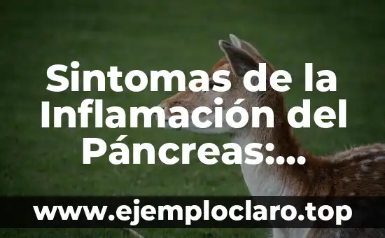 Intención de tratar: significado y ventajas 5 Sintomas de la Inflamación del Páncreas: Cómo Identificar y Tratar