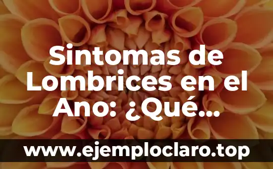 Cómo Saber Si Tengo Líquido En La Rodilla: Guía Completa 4 Sintomas de Lombrices en el Ano: ¿Qué Debes Saber?
