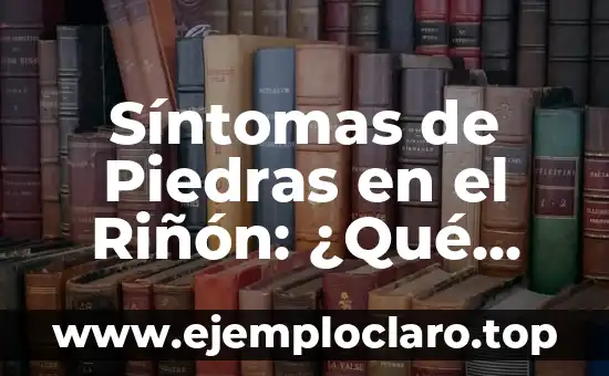 El significado de ser un bibliófilo: Todo lo que debes saber 6 Síntomas de Piedras en el Riñón: ¿Qué Debes Saber?