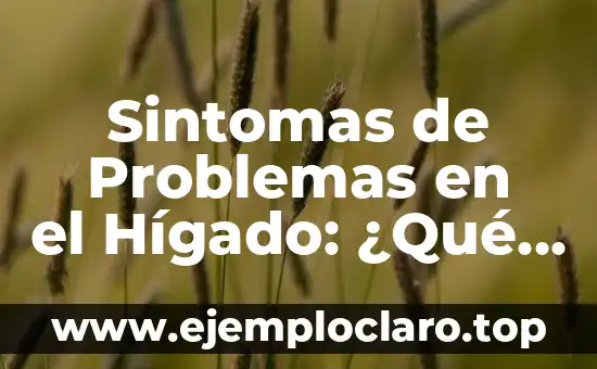 Sintomas de Problemas en el Hígado: ¿Qué Debes Saber?