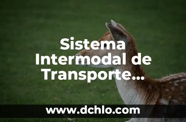Introducción al Movimiento Unitario del Transporte (MUD) 5 Sistema Intermodal de Transporte Significado