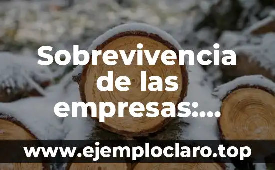 Autor y Significado de Empresa: La Esencia del Éxito Empresarial 4 Sobrevivencia de las empresas: significado y relevancia en el entorno empresarial