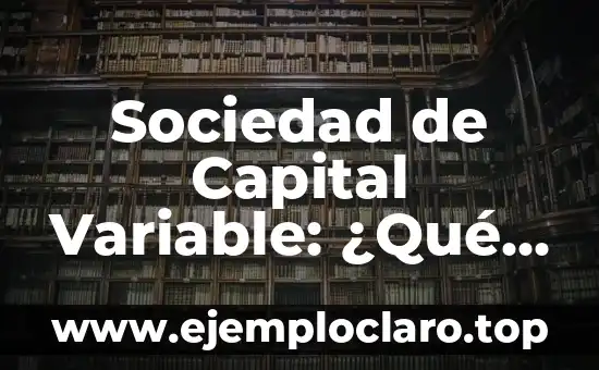 Sociedad de Capital Variable: ¿Qué Es y Por Qué Es Importante?