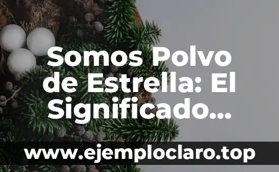 Nombres con significado cósmico 4 Somos Polvo de Estrella: El Significado Cósmico de Nuestra Existencia