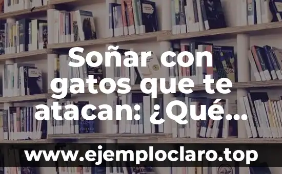 Soñar con gatos que te atacan: ¿Qué significa este tipo de sueño?