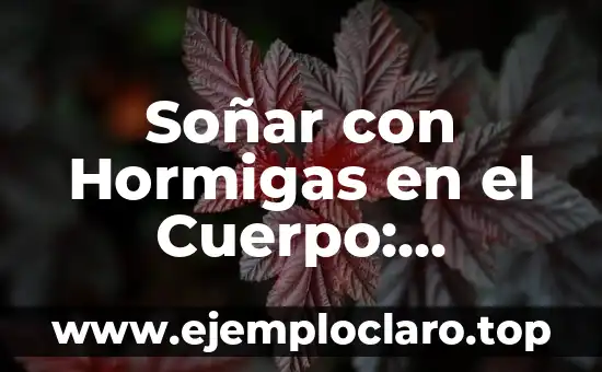 Soñar con Hormigas en el Cuerpo: Descubre el Significado Escondido detrás de esta Inquietante Imagen