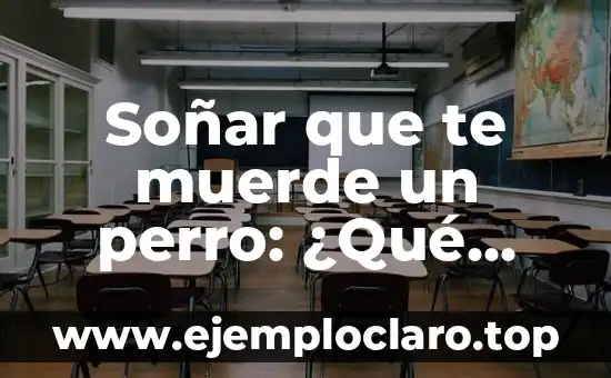 Perro Ayuda a su Dueña con Taquicardia: Una Historia de Amor y Lealtad 6 Soñar que te muerde un perro: ¿Qué significa este tipo de sueños?