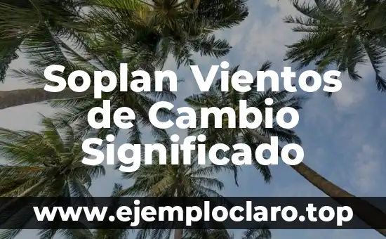 Tasa de Cambio: Concepto y Relevancia Económica 5 Soplan Vientos de Cambio Significado
