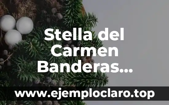 Stella del Carmen Banderas Griffith: La hija de los famosos Antonio Banderas y Melanie Griffith