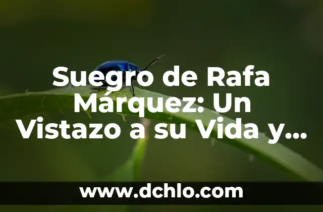 Estanzuela: Un Vistazo a la Estructura Poética 4 Suegro de Rafa Márquez: Un Vistazo a su Vida y Significado