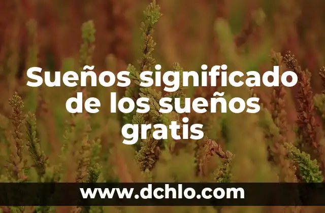 Sin Perjuicio de lo Anterior Significado 7 Sueños significado de los sueños gratis