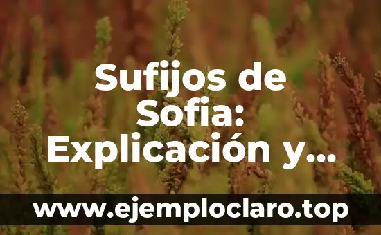 ¿Quiénes son los hijos de mis primos? Definición y explicación 6 Sufijos de Sofia: Explicación y Origen