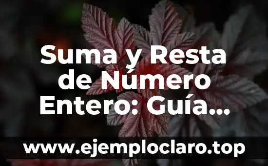 Cuando Se Suma Una Sílaba en Un Verso: Análisis Detallado de la Metricidad Poética 3 Suma y Resta de Número Entero: Guía Completa y Detallada