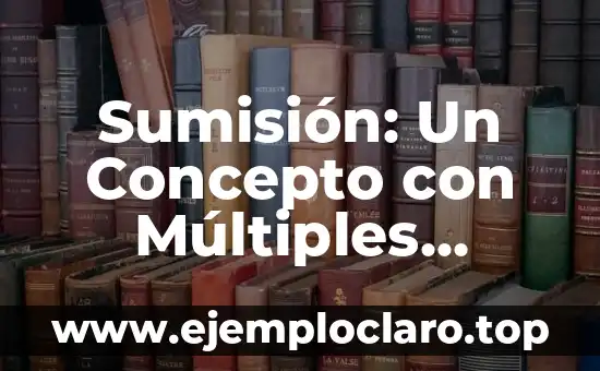 Sumisión: Un Concepto con Múltiples Facetas