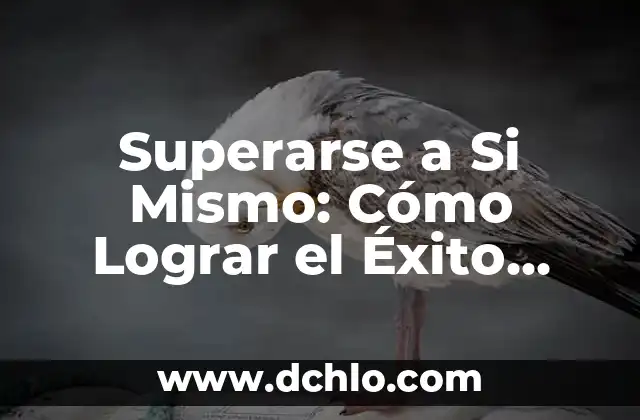 Mujer Tatuajes de Flores Significado: Un Arte de Expresión Personal 3 Superarse a Si Mismo: Cómo Lograr el Éxito Personal y Profesional