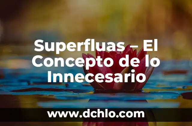 Esplendido: Un Concepto de Gran Significancia 3 Superfluas – El Concepto de lo Innecesario