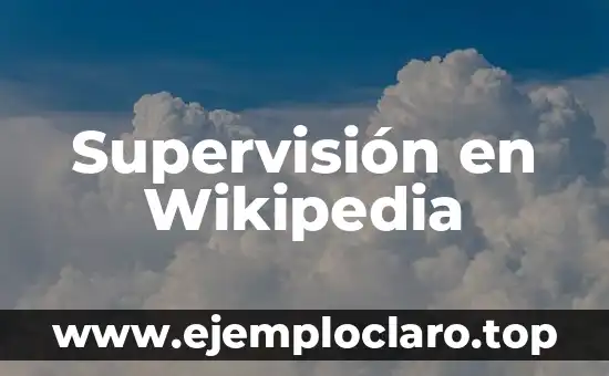 El Concepto de Hatajo y Su Relación con Wikipedia 7 Supervisión en Wikipedia