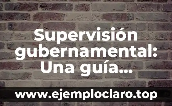 Supervisión gubernamental: Una guía completa