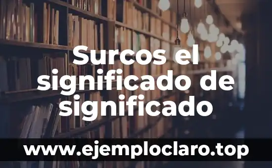 El Significado de Nomada: Un Viaje por la Definición en Wikipedia 3 Surcos el significado de significado