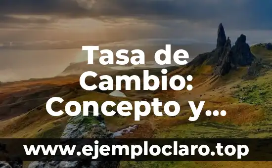 Tasa de Cambio: Concepto y Relevancia Económica