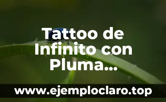 Tattoo de Infinito con Pluma Significado