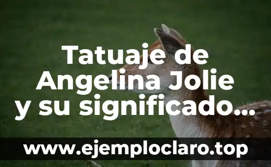 Tatuajes de Angelina Jolie en la Espalda: Significado y Simbolismo 8 Tatuaje de Angelina Jolie y su significado en Camboya