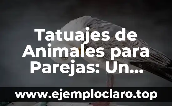 Tatuajes de Animales para Parejas: Un Simbolismo Profundo