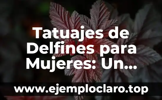 Tatuajes de Delfines para Mujeres: Un Diseño con Profundo Significado