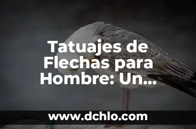 Tatuajes de Gatos y Lunas: Un Diseño con Profundo Simbolismo 3 Tatuajes de Flechas para Hombre: Un Diseño con Profundo Significado
