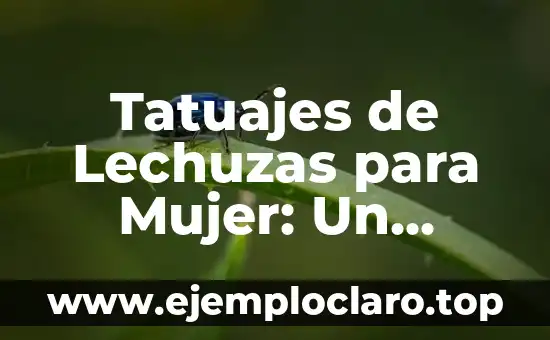 Tatuajes de Lechuzas para Mujer: Un Diseño con Profundo Significado