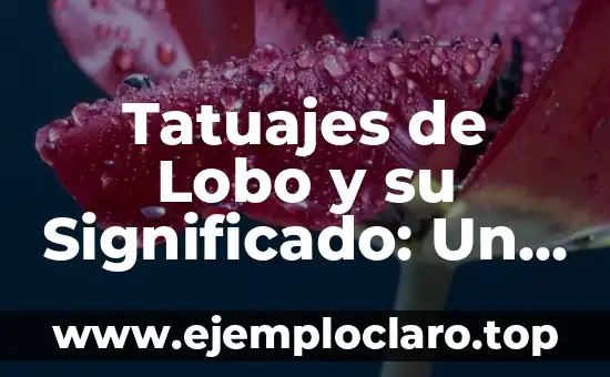 Tatuajes de Lobo y su Significado: Un Arte con Historia