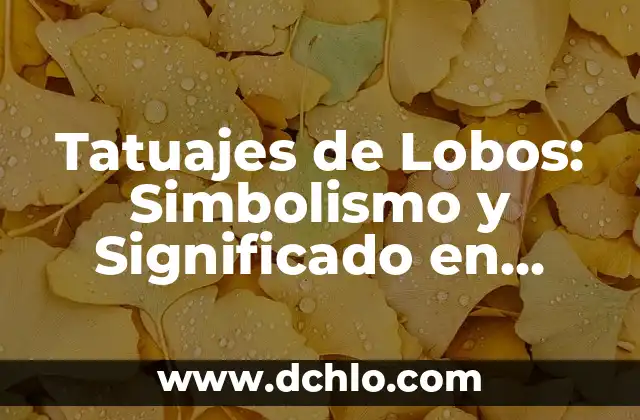 Significado del Mapa de Chiapas: Un Viaje por su Geografía e Historia 6 Tatuajes de Lobos: Simbolismo y Significado en Hombres