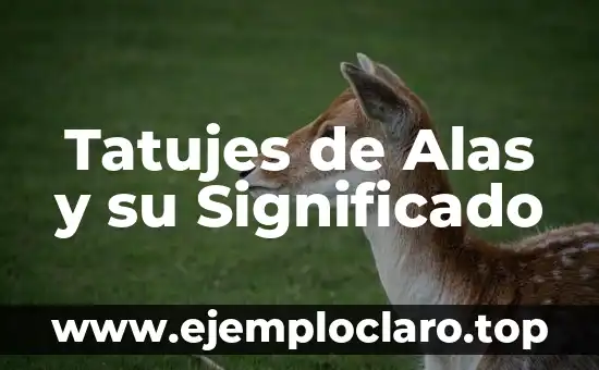 Tatujes de Alas y su Significado