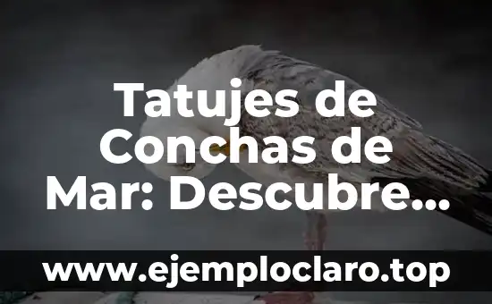 Tatujes de Conchas de Mar: Descubre su Profundo Significado