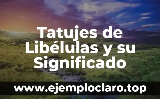 Tatujes de Libélulas y su Significado